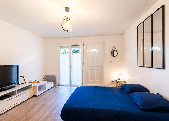 Agreable Proche Airbus Apartman Toulouse